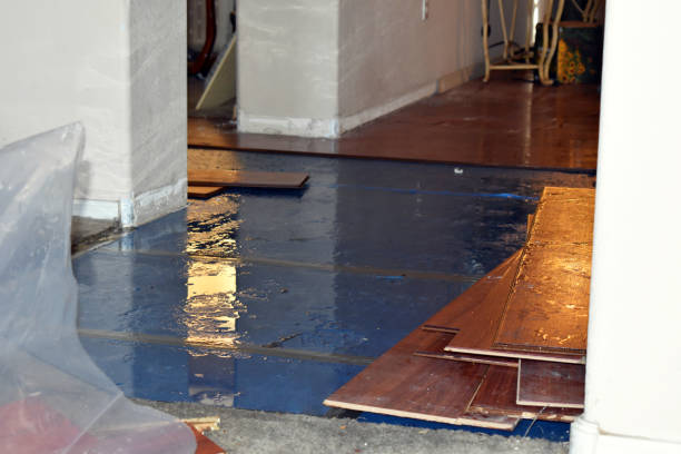 Professional Water Damage Restoration technician working in Deerfield, IL